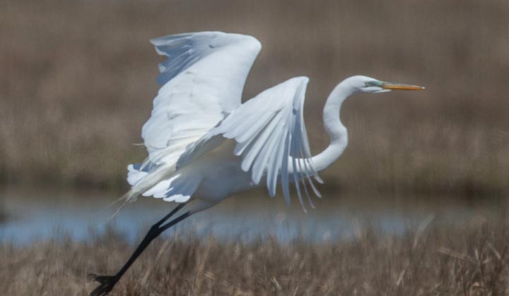 E.B. Leone Conservation Area - 45 Acres - Toms River Township