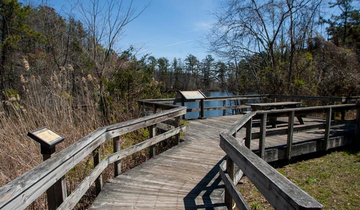 Eno's Pond County Park - 28 Acres - Lacey Township