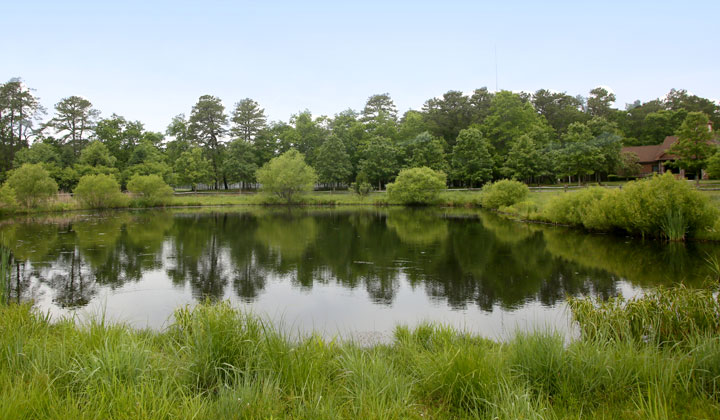 Freedom Fields County Park - 120 Acres - Little Egg Harbor Township