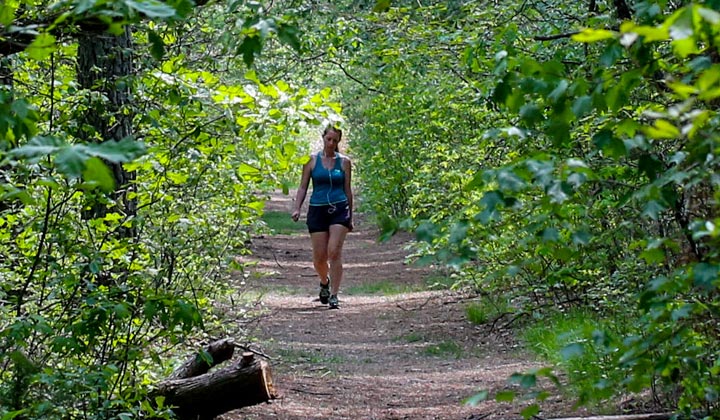 Lochiel Creek County Park - 177 Acres - Barnegat Township