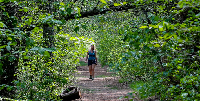 View All Ocean County Parks